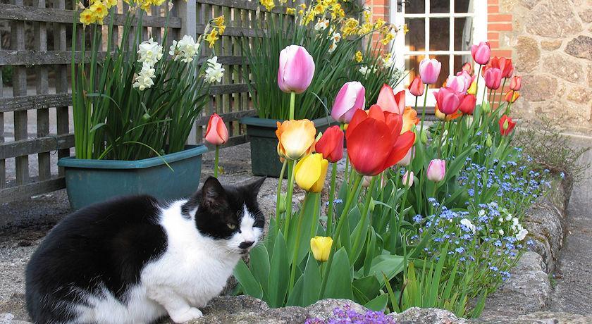 Budleigh Farm Cottages Moretonhampstead Bagian luar foto