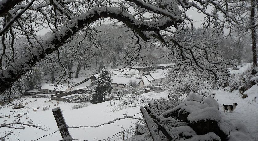 Budleigh Farm Cottages Moretonhampstead Bagian luar foto